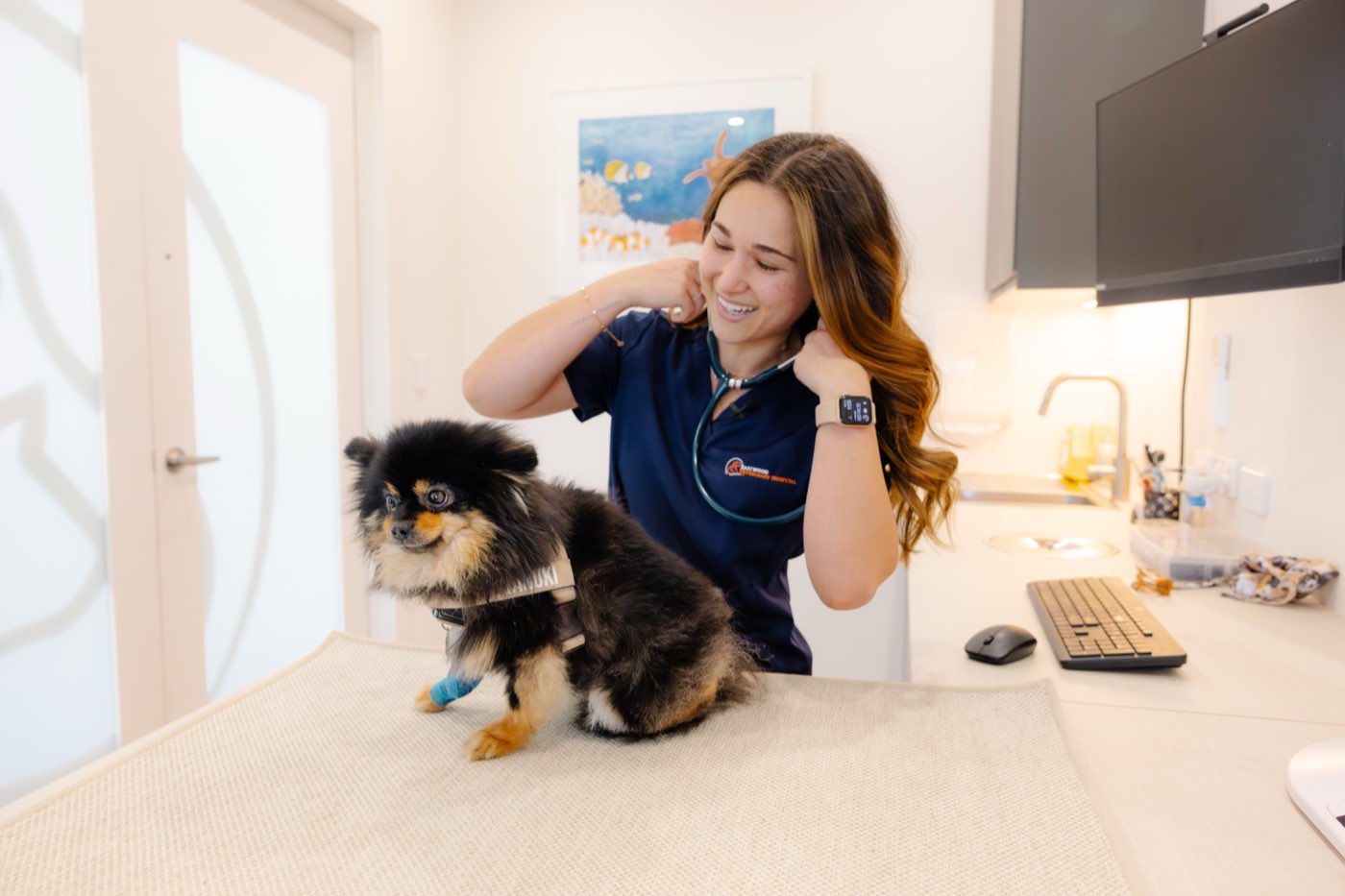 A smiling vet in Eastwood Veterinary Hospital scrubs putting on her stethoscope beside a black and tan Pomeranian on the consult table